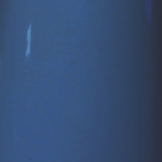 RAL 5009